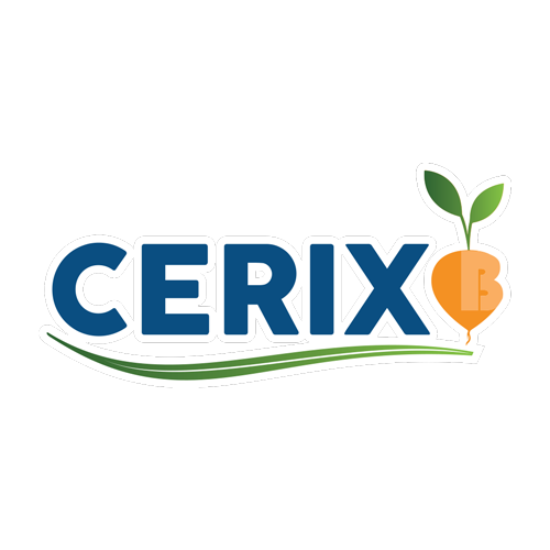 Logo Cerix B